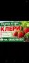 Ягоди сорт Клери, снимка 1