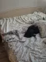 Продавам легло/спалня с матрак 140 на 200, снимка 6