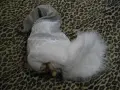 Декорация и коледни покривки, снимка 3
