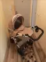 Бебешка количка 2в1 LORELLI RIMINI, снимка 1