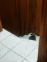 Британски котен, снимка 4