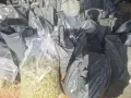грозде Рекацители 0.70€, снимка 4