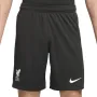 Мъжки шорти Nike Liverpool F.C. 2024/25 Stadium Away FV7037-321, снимка 2