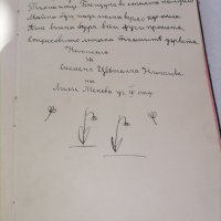 стар лексикон антика 1926 година , снимка 3 - Нумизматика и бонистика - 42167902