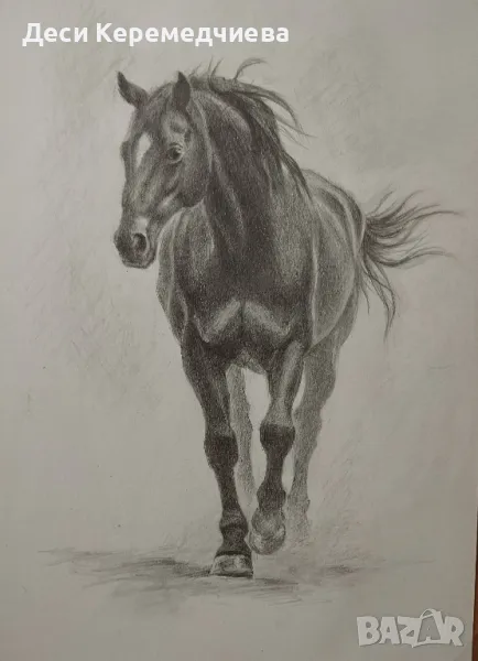 графика "Кон", снимка 1