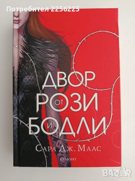 Двор от рози и бодли, снимка 1