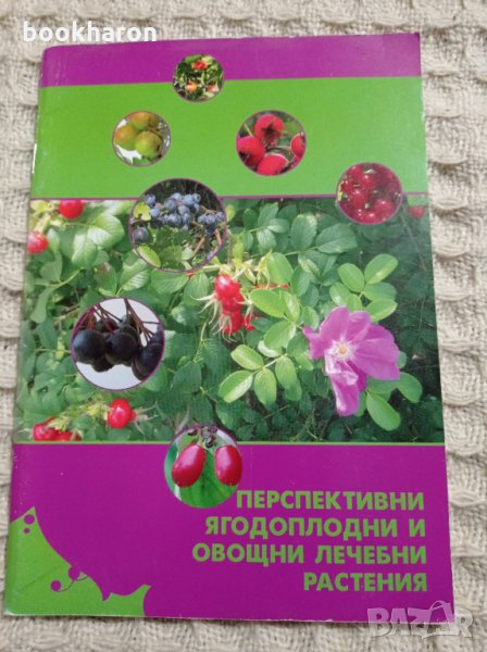 Перспективни ягодоплодни и овощни лечебни растения, снимка 1