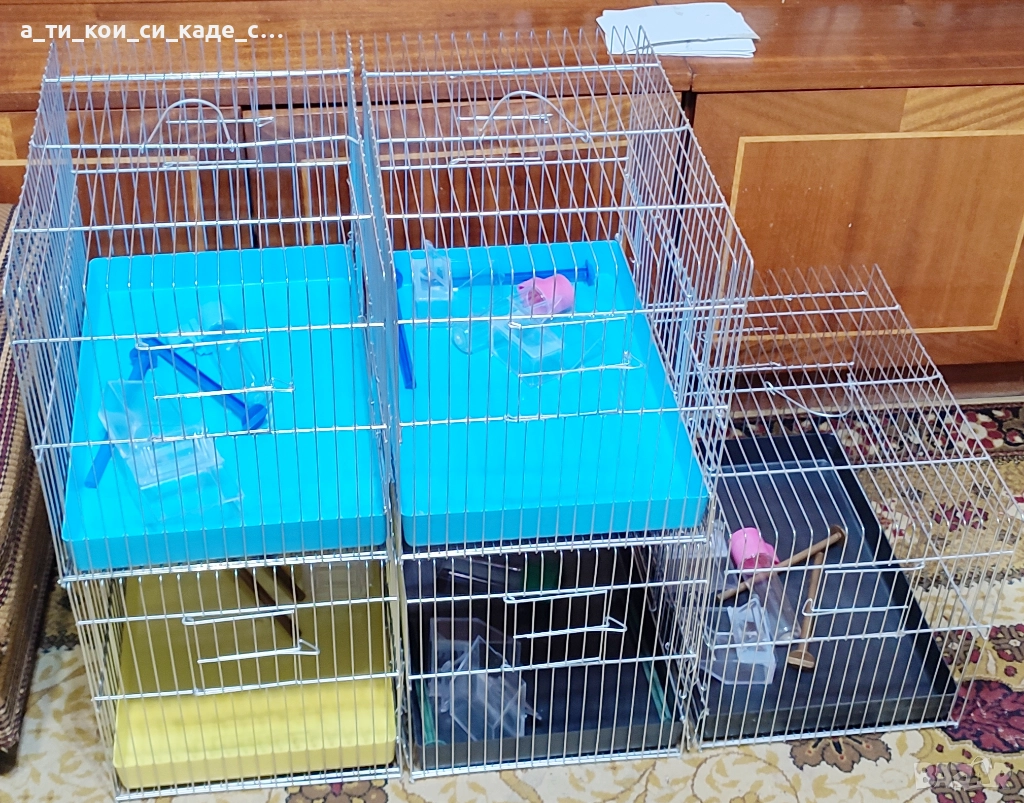 Чисто нови кафези със два отвора за мътилник, снимка 1