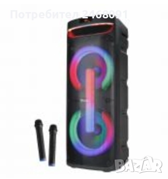 Караоке тонколона 2х10", снимка 1