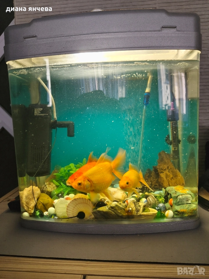 обурудван аквариум с рибки , снимка 1