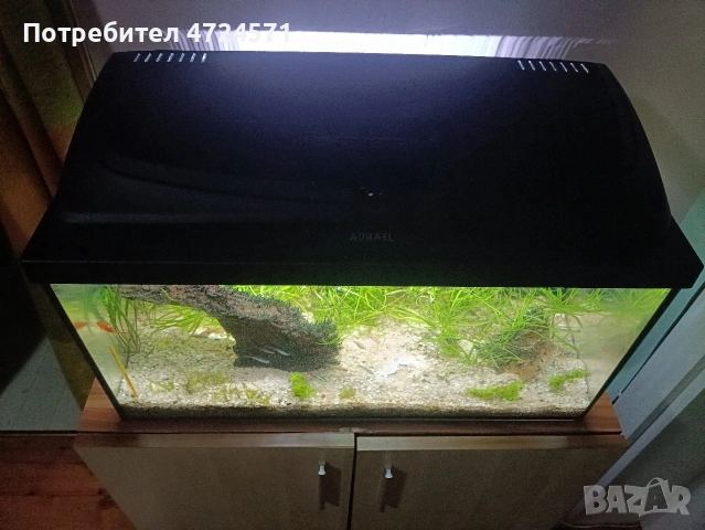 аквариум със рибки , снимка 3 - Аквариуми - 53355551