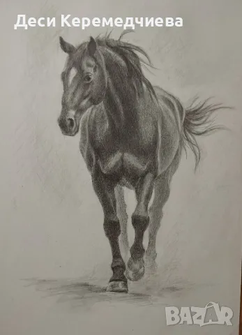 графика "Кон"