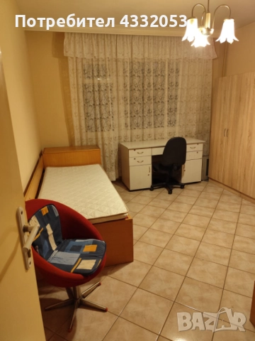 Стая под наем, снимка 3 - Стаи под наем - 52925276