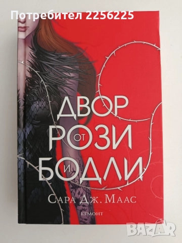 Двор от рози и бодли