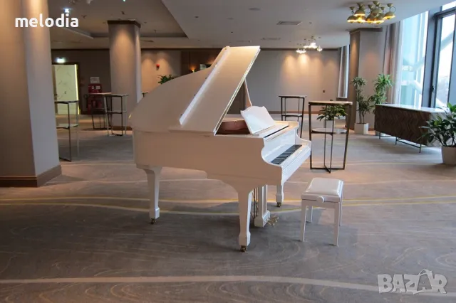 НОВИ рояли под наем за всякакви културни събития, снимка 4 - Пиана - 36256845