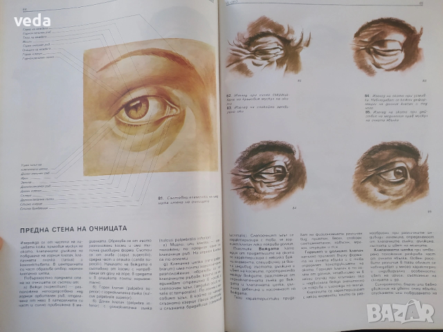 АТЛАС Глава, авт. Христо Кирчев, ИЗД. 1985 Г., снимка 4 - Специализирана литература - 53163984