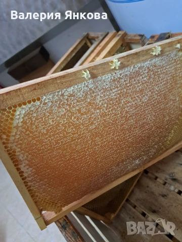 Пчелен мед - 100 % натурален реколта 2025г, снимка 9 - Пчелни продукти - 24128490