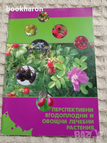 Перспективни ягодоплодни и овощни лечебни растения, снимка 1 - Други - 32169195