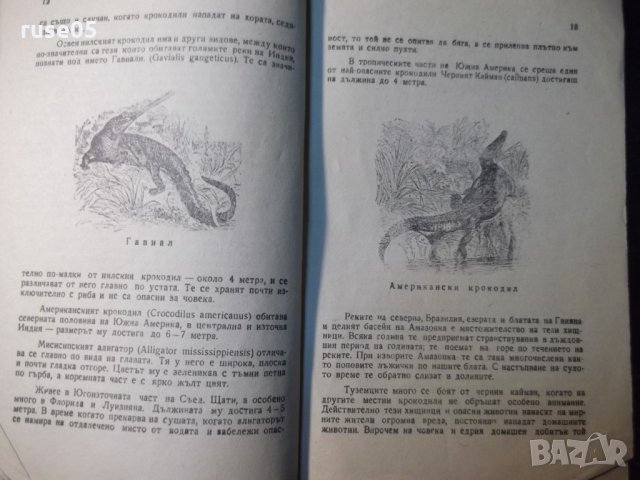 Книга "В царството на животните.Крокодил-9-Г.Дражев"-176стр., снимка 5 - Художествена литература - 35572653