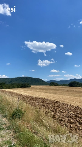 Земеделска земя с рента 80–100 лв/дка – обл. Варна, снимка 4 - Земеделска земя - 54062417