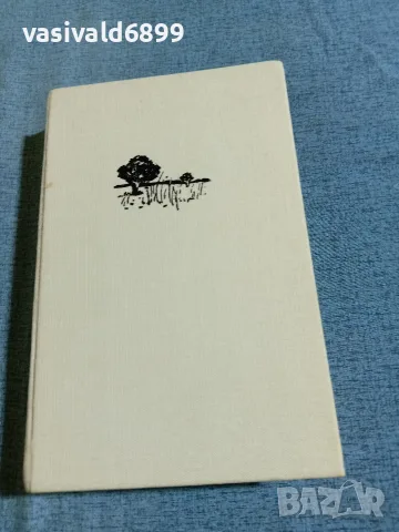 Патрик Уайт - Окото на бурята , снимка 2 - Художествена литература - 56317529