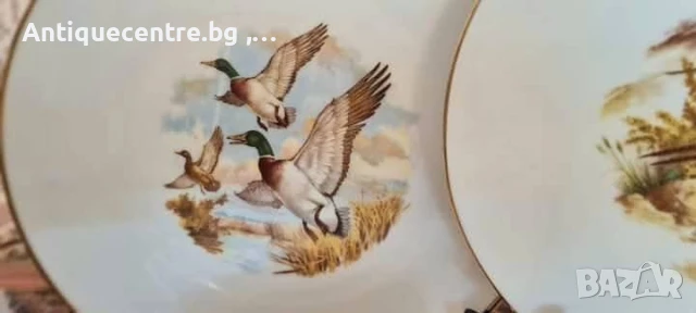 Kuba Porzellan Bavaria ,Germany - Сервиз за хранене с ловни мотиви., снимка 4 - Сервизи - 50940603