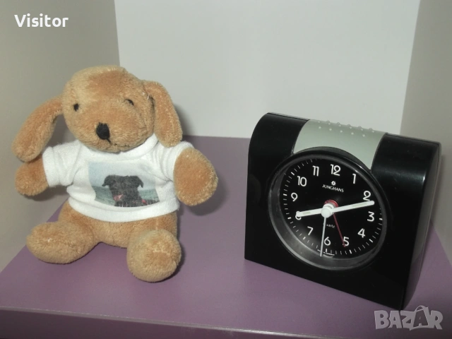 фотоапарат FujiFilm FinePix C10, снимка 9 - Фотоапарати - 54255057