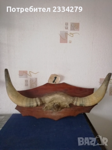 Стари трофейни рога и сувенири изработени от рога, снимка 6 - Антикварни и старинни предмети - 52574037