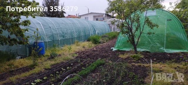продавам 3 оранжерии 80 кв.м., снимка 3 - Оранжерии - 51869001