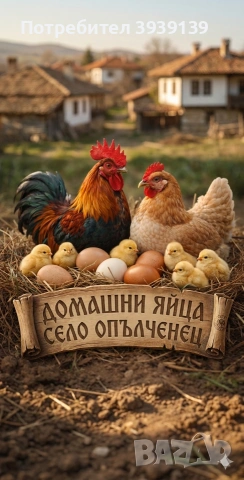 Домашни яйца от с. Опълченец – Вкусът на истинската храна! 🌿🥚 