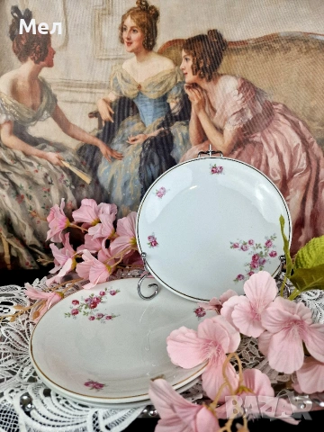 Немски порцеланови чинии , снимка 2 - Чинии - 54271895