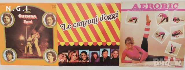 Грамофонни плочи, снимка 13 - Грамофонни плочи - 54240076