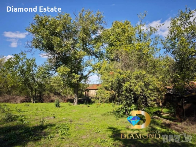 Едноетажна къща в село Обручище, общ. Гълъбово, снимка 8 - Къщи - 52197315