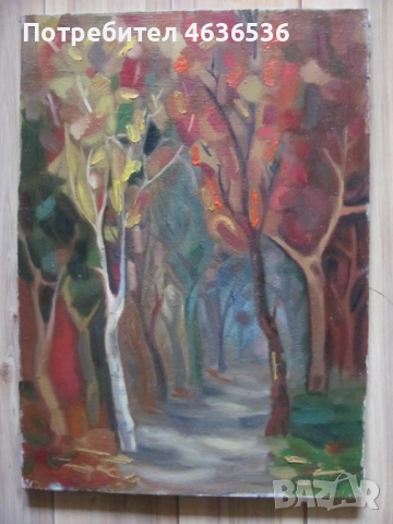 Красива Картина масло, платно ,художник Силвия Радева