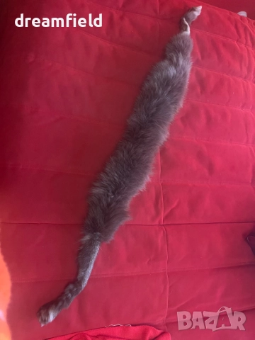 Яки естествен косъм лисица, снимка 8 - Шалове - 50026436