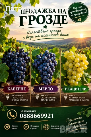 Грозде от производителя! 