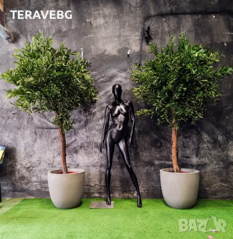 Изкуствени дървета и растения 