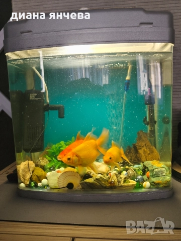 обурудван аквариум с рибки 