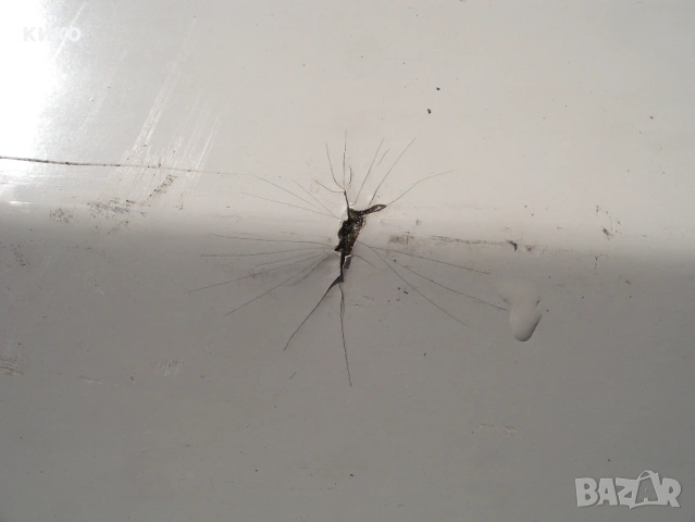 ДВУМЕСТНА ЛОДКА КАЯК СТЪКЛОПЛАСТ, снимка 10 - Водни спортове - 54202953