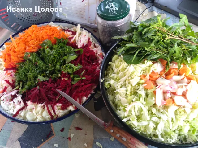 Детегледачка / домашна помощница, снимка 7 - Детегледачки - 47896632