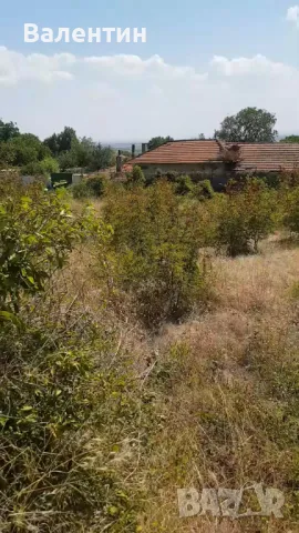 Продава се дворно място 1 800 дка в с. Оряховица, снимка 9 - Парцели - 46948340