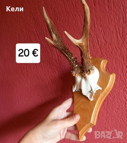 рога от сръндак , снимка 2 - Декорация за дома - 56075854