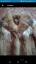 Луксозни палта от естествен косъм, лисица, заек , елек от естествена кожа и  Каскадна лисица , снимка 8