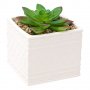 Изкуствен декоративен кактус в керамична бяла саксия, 12 см