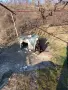 Лудогорско гонче , снимка 1
