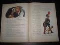 Стара детска книжка Приключенията на Пинокио. Цена- 30 лева  (15.34 €).Пращамо по Еконт., снимка 6