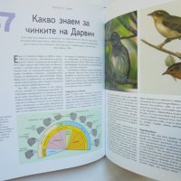 Книга Седемдесетте големи загадки на дивата природа 2009 г., снимка 3 - Енциклопедии, справочници - 38194165