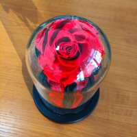 Мини роза в стъкленица, снимка 4 - Подаръци за жени - 44197834