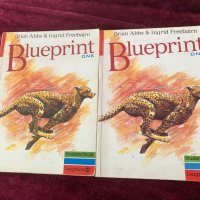 Blueprint Учебник по Английйски език, снимка 1 - Чуждоезиково обучение, речници - 37915879