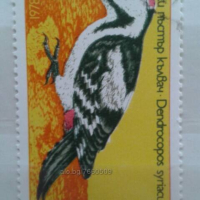 Красива колекция български пощенски марки с птици, снимка 4 - Филателия - 44804788
